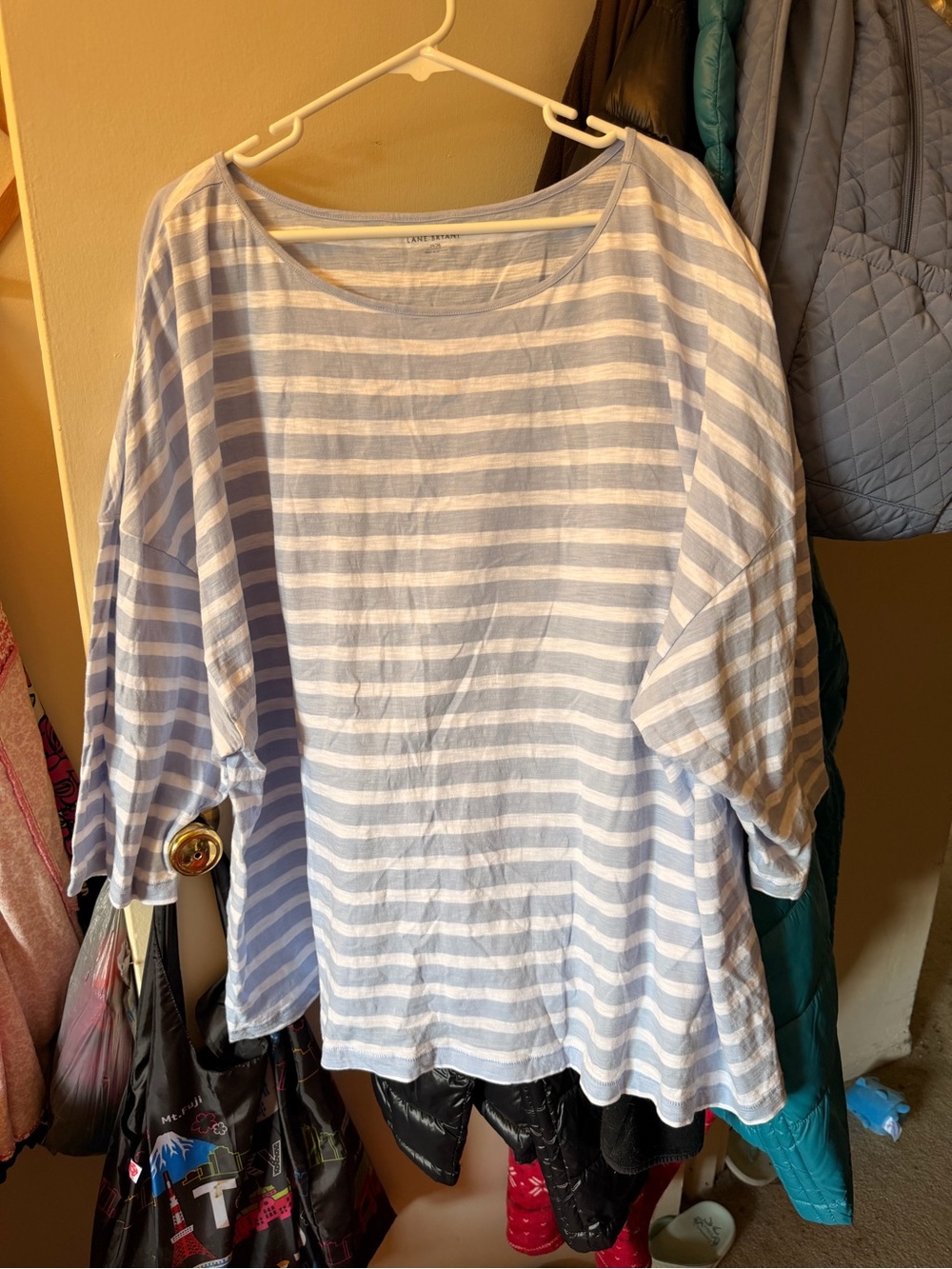 Lane Bryant Light Blue and White Striped Boatneck Tunic